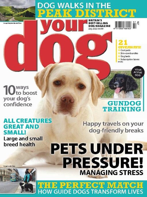 Title details for Your Dog by Warners Group Publications Plc - Available